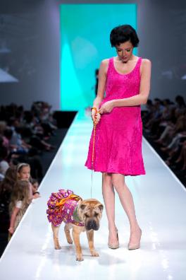 Designer Inspired Dog Dress - Life is Gucci exclusive at TheHonestDog