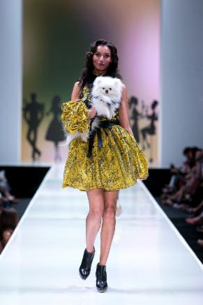 Designer Inspired Dog Dress - Life is Gucci exclusive at TheHonestDog